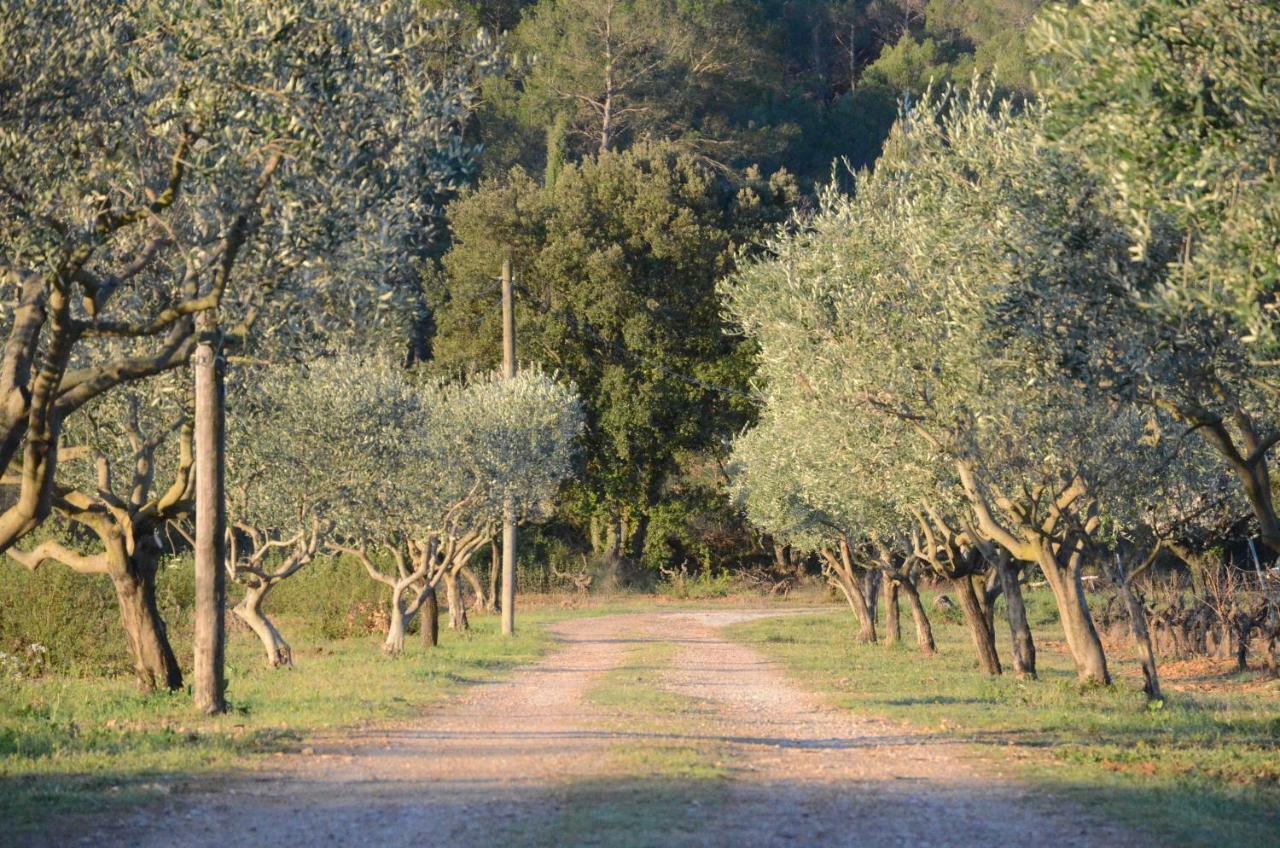 Appartamento Domaine Hemmitage Salernes Esterno foto