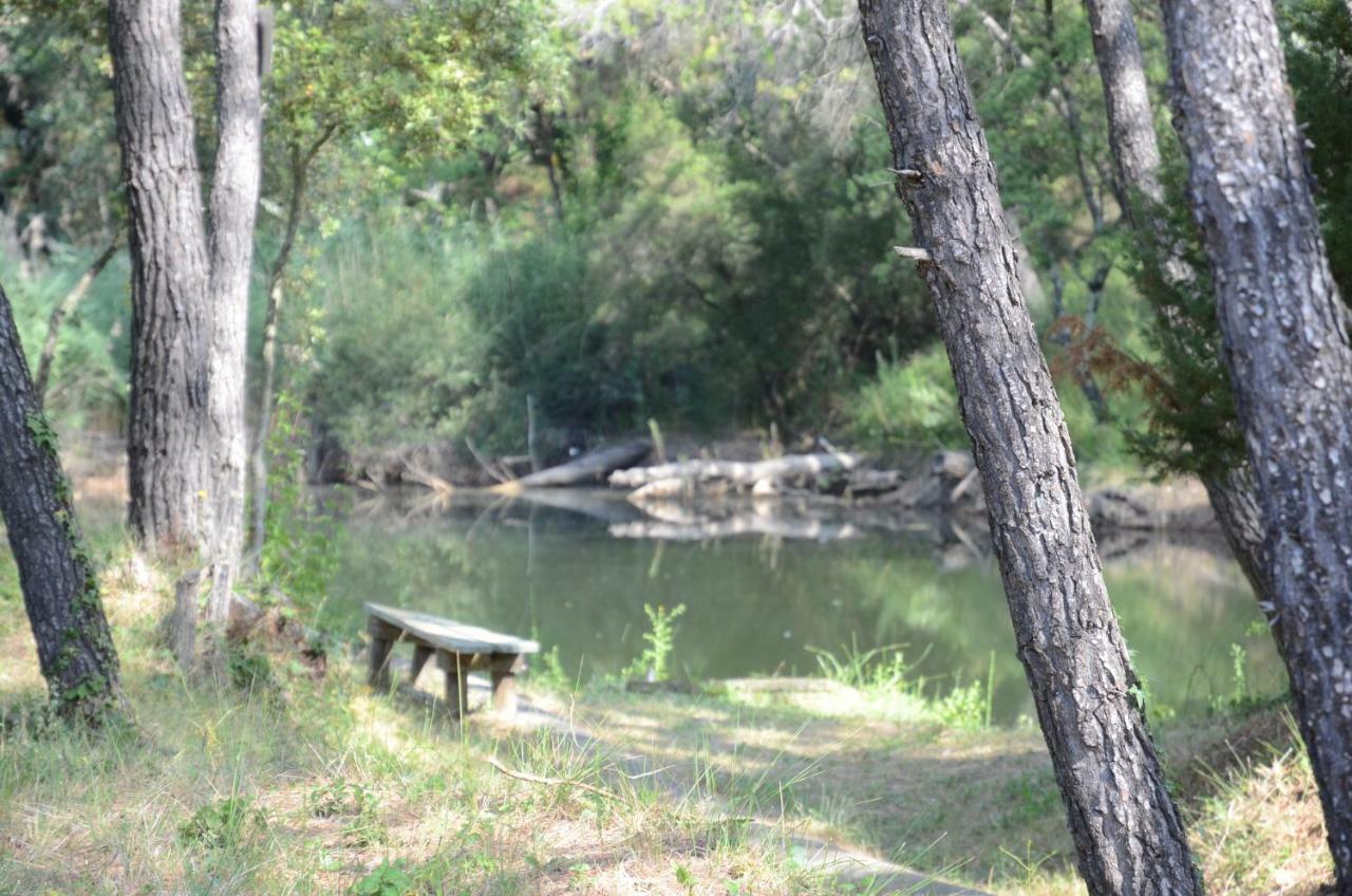 Appartamento Domaine Hemmitage Salernes Esterno foto