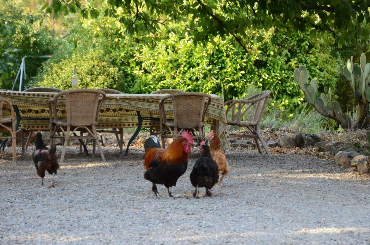 Appartamento Domaine Hemmitage Salernes Esterno foto