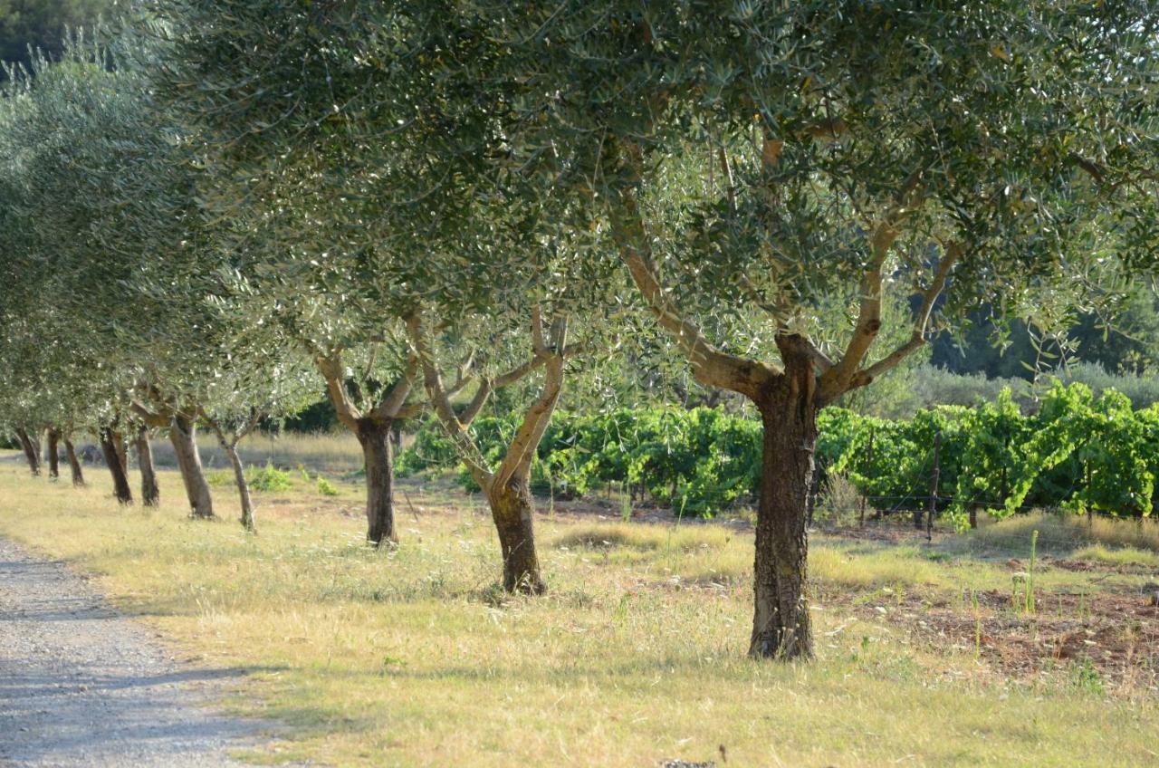 Appartamento Domaine Hemmitage Salernes Esterno foto